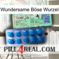 Wundersame Böse Wurzel new02